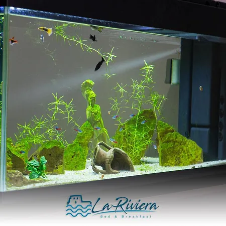 La Riviera 4* Scalea