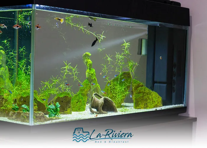 La Riviera 4* סקליאה